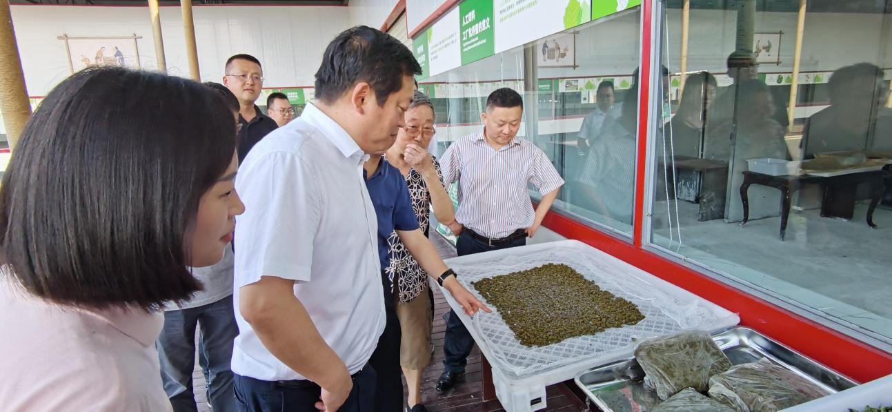 省尊龙时凯集团党委副书记、董事陈日赴嘉陵区调研茶桑产业发展情况
