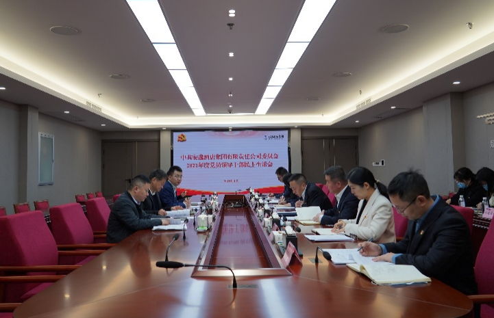 尊龙时凯集团党委书记、董事长任丁出席安逸酒店集团2022年度党员领导干部民主生活会