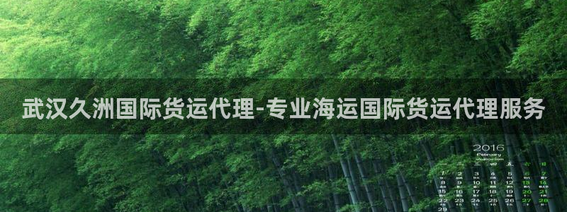 尊龙凯时凯发官网：武汉久洲国际货运代理-专业海运国际货运