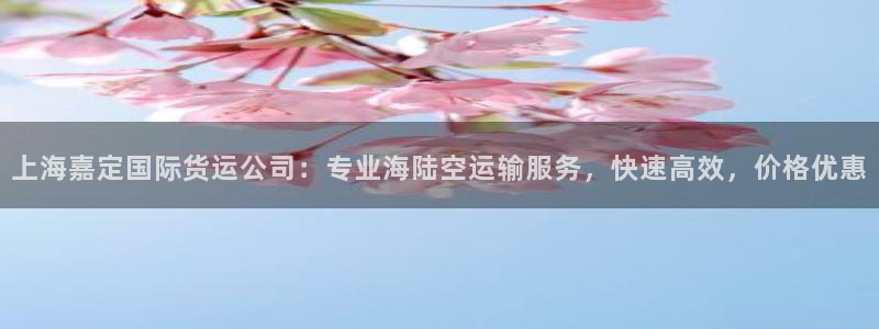 尊龙凯时官网登录入口：上海嘉定国际货运公司：专业海陆空运