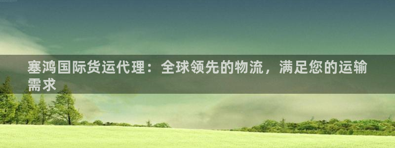 尊龙网站登录：塞鸿国际货运代理：全球领先的物流，满足您的