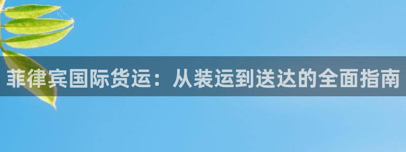 尊龙凯时人生就是搏官：菲律宾国际货运：从装运到送达的全面