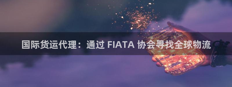 尊龙凯时登陆：国际货运代理：通过 FIATA 协会寻找全