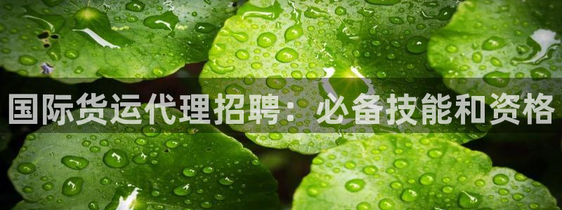 尊龙凯时平台正规吗：国际货运代理招聘：必备技能和资格