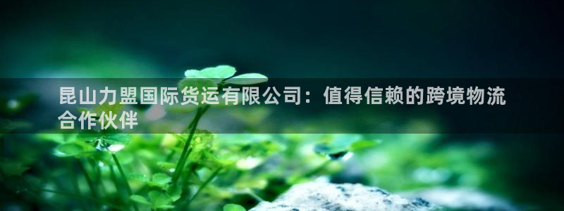 尊龙凯时不给提款：昆山力盟国际货运有限公司：值得信赖的跨